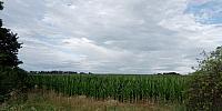 Lukovany