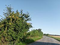 Lukovany