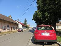 Třibřichy