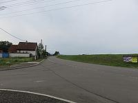 Třibřichy