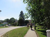 Třibřichy