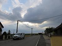 Třibřichy
