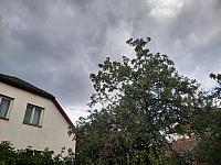 Olešná