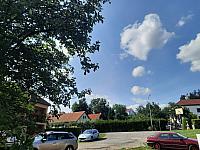 Olešná