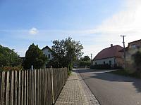Třibřichy