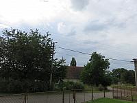 Třibřichy