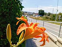 Třebíč-Borovina
