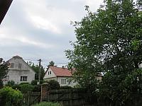 Třibřichy