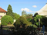 Třibřichy