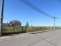 Třibřichy