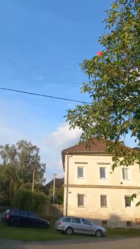 Třibřichy