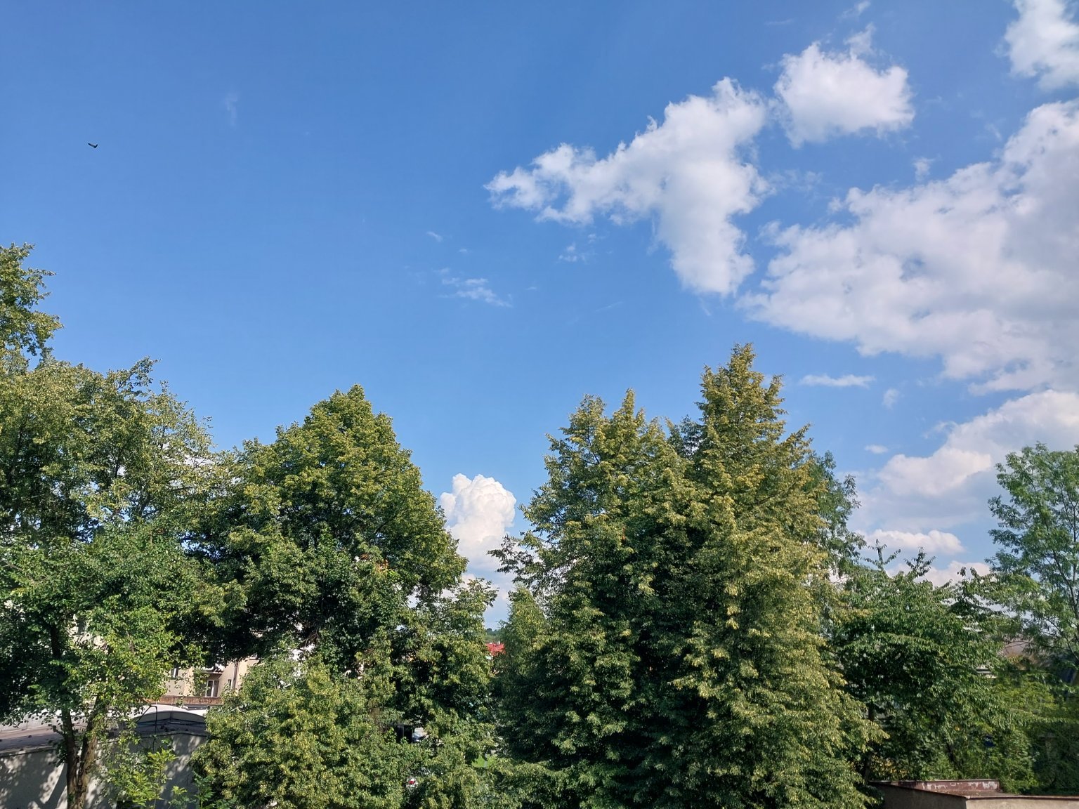 Český Těšín
