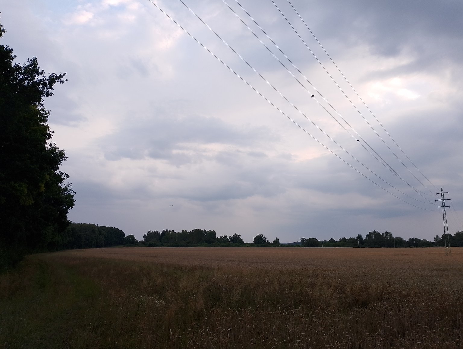 Kladno