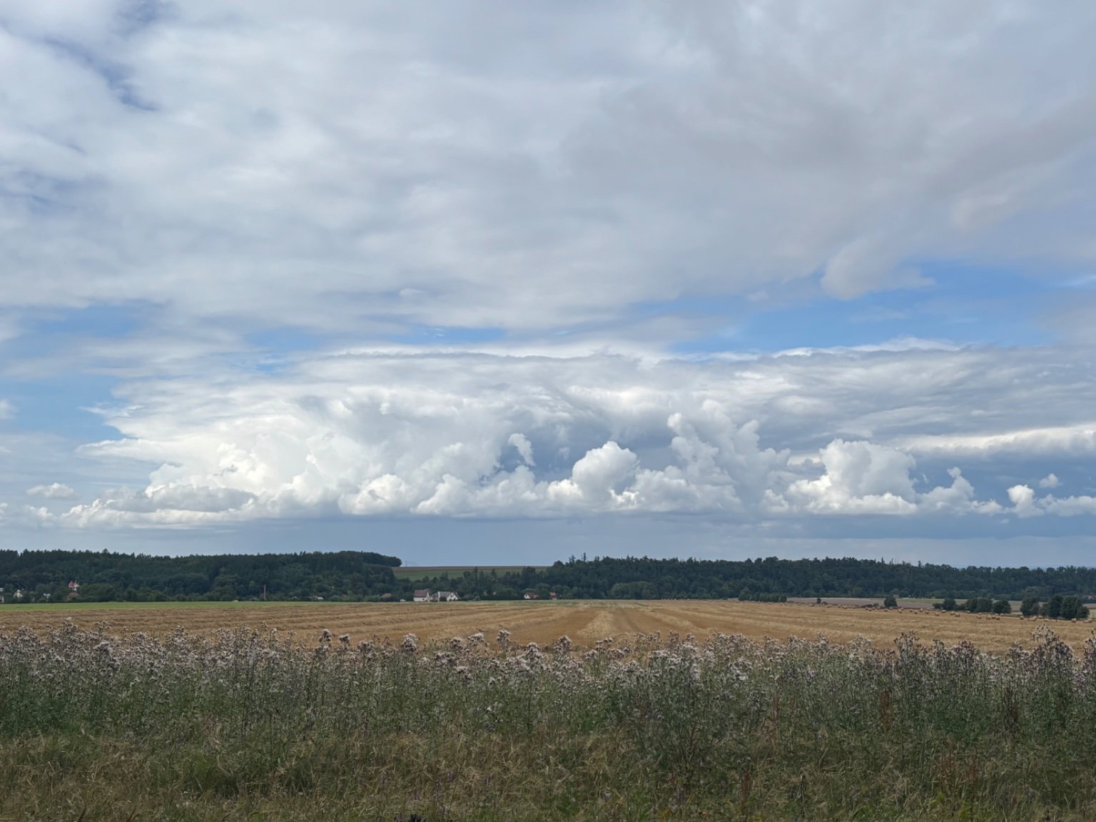 Luže