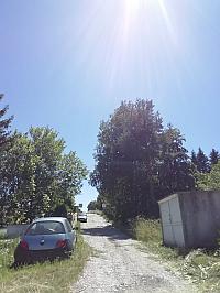 Nižná