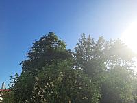 Mezná 