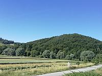 Sedliacka Dubová