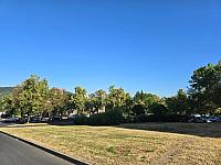 Most