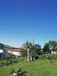 Nižná