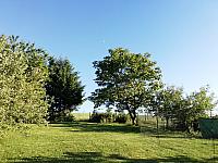 Nižná