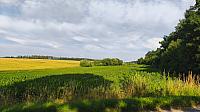 Lukovany