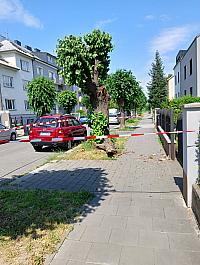 Olomouc-Bořivojova