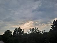 Olešná