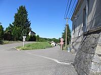 Třibřichy