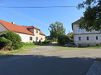 Třibřichy