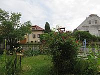 Třibřichy