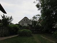 Třibřichy