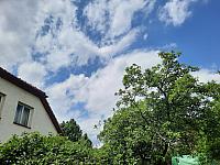 Olešná
