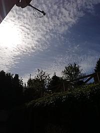 Nižná