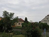 Třibřichy