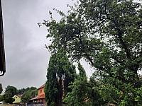 Olešná