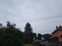 Olešná