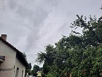 Olešná