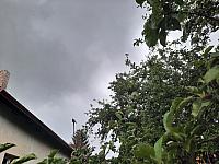 Olešná