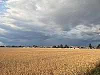 Císařov