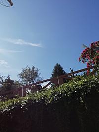 Nižná