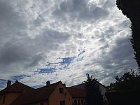 Olešná
