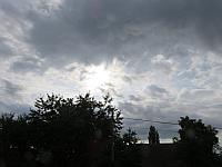 Třibřichy