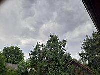 Olešná