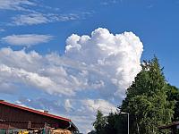 Zajíčkov