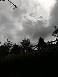 Nižná