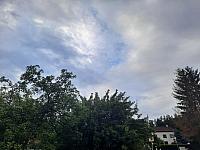 Olešná