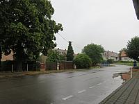 Třibřichy