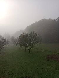 Hvozdnica