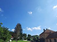 Olešná