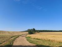 Lukovany